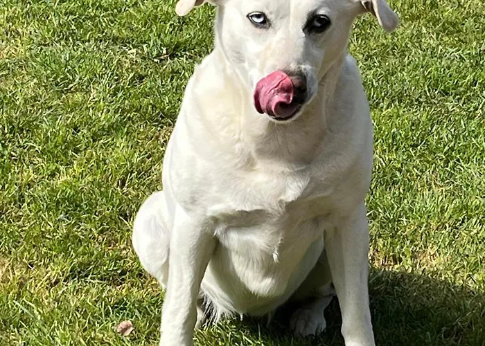 Peter Διαμέρισμα